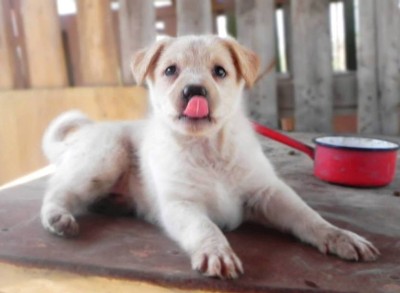 1044474_507637679308793_1176112604_n