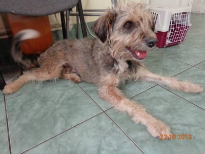 1375065_563478217058072_1257609763_n