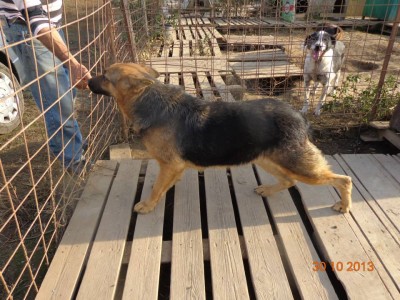 1378509_567435486662345_1260955657_n