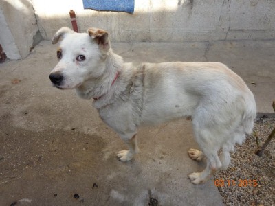 1441435_514812358626709_1606226187_n