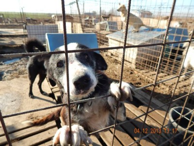 1452291_531709673603644_1042168895_n