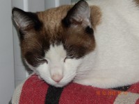 1478913_595090200562663_1046934259_n