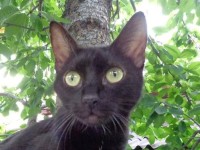 579539_524971827574501_1150410383_n