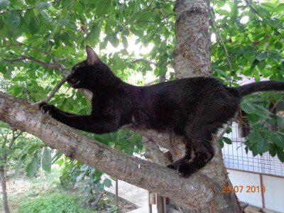 970857_524971897574494_1159106913_n