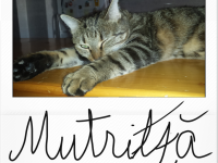 mutrir