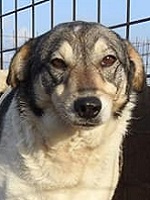 27654722_1883033178435896_8450322200353729091_n