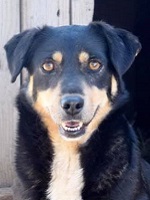 60138994_2725066257565913_1307946270391795712_n