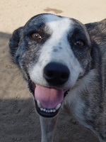 44748460_2300729086666301_8715144128607813632_o