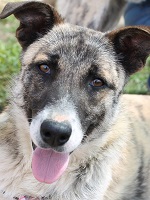 13041410_1074233659315856_6032174008076515608_o