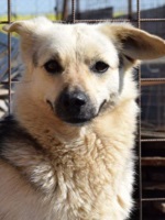 31961128_2002988893106990_1679363046306217984_o