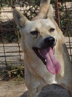 44702815_2300725846666625_752031237178130432_n