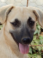 13925801_1162564363816118_7583210474513239592_o