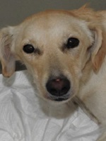 23316430_1761620643910484_4720507571532069789_n