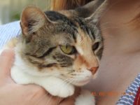 20800239_1662499673822582_6628854148360438681_n