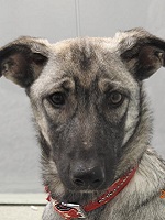 22089445_1712860045453211_7086552143199155580_n