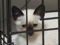 20139811_1629128040493079_4550943969528968043_n