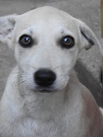 20643551_1653405604731989_4737296868078718252_o