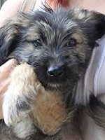 20729563_1660418894030660_5557190878214132960_n