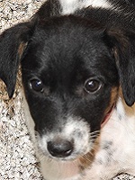 20842113_1660514450687771_7175739777335956260_n