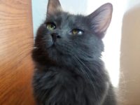 21034418_1674115162661033_5597513302270320158_n