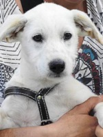 21150151_1675276872544862_5117756907251001621_n