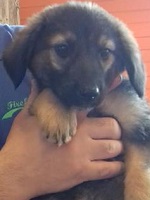 21369621_1690909670981582_5015128247285172168_n (1)