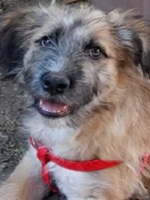 21617713_1704428089629740_4592022947618505378_n