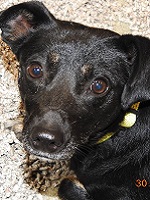 22045635_1713956422010240_2635191848300041631_n