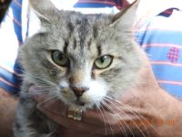 22154214_1716108075128408_4813325886082184605_n