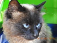 22489729_1732737513465464_5850013968177478137_n