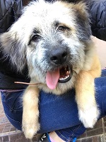 22852186_1748904121848803_3511724183435948614_n