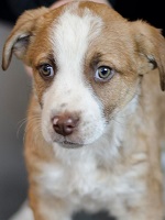 23270268_1760355200703695_5544184691050642504_o