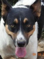 21430543_1691845977554618_6835410649627567506_n