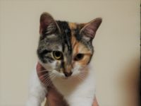 25073205_1804786782927203_8192771744775809291_o