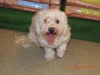 25395087_1813769988695549_1793396635626234902_o