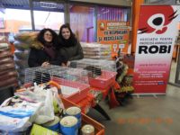 26170045_1829039267168621_4218011369551141197_o