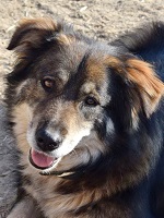 32188186_2005275166211696_8380074870645456896_o