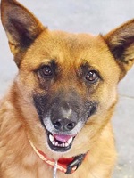 55557092_2613427545396452_865421539183427584_n