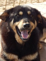 12967999_1066465490092673_581001388406059743_o