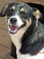 13528528_1124079250997963_2303052381865643997_o