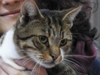 26114584_1829039153835299_6784543835900534173_o