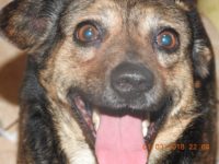 28472236_1910018495737364_5660049443316039680_o