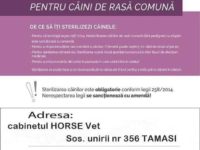 28575977_1993573794227662_3263684213233122750_n