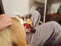 28576577_1916700661735814_4953892507013349376_o