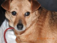 28871060_1921141631291717_8628579732771831808_o