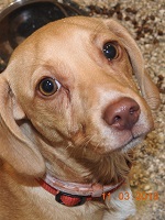 29101433_1925466890859191_8068089816358584320_o