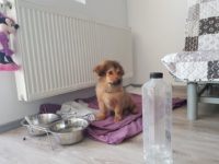 29132902_1924102217662325_6984795448221368320_n