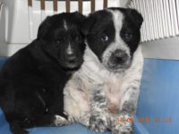 29365628_1934134293325784_7069855767985127424_o