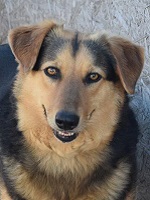 38714543_2168103636595514_3321357527790125056_n