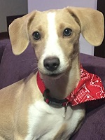 12489191_1006724806066742_95394277412992343_o